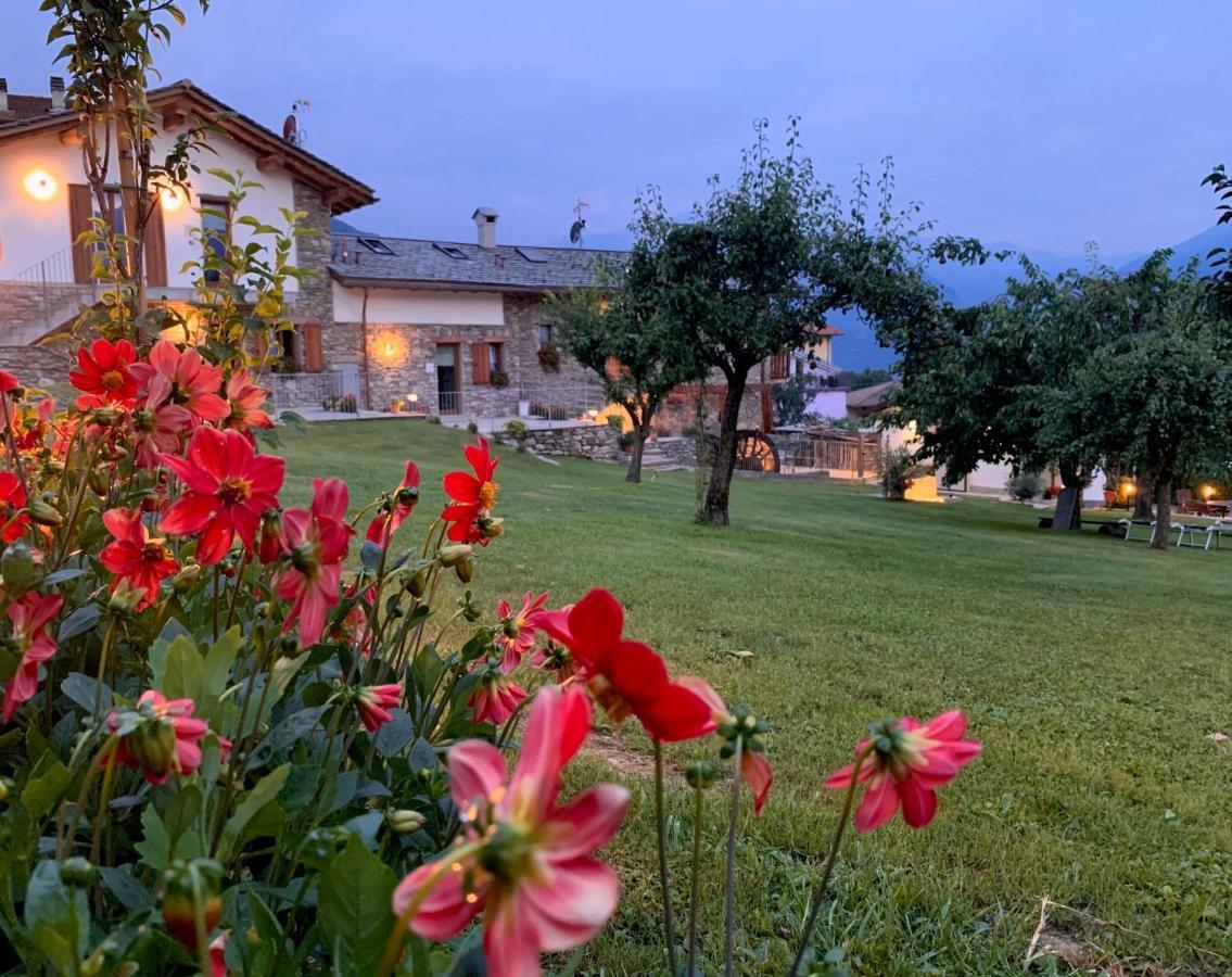 La Volta - Lake Como Heritage Home In Molino Maufet Watermill - Patio On The Garden Colico Extérieur photo